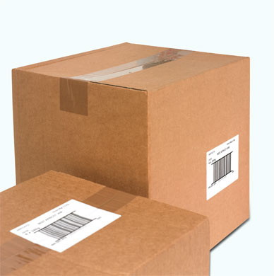 www.sjzxf.com.cn12237
